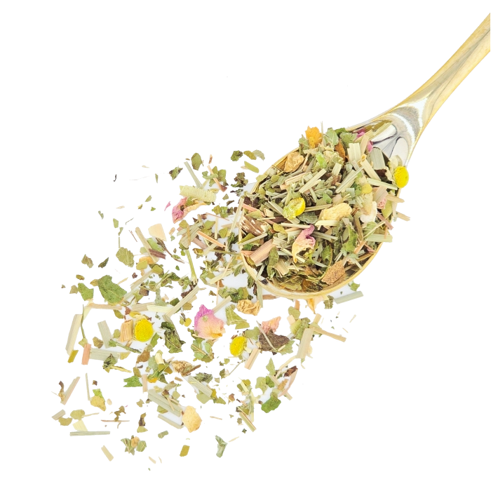 Bio Kräutertee mit Mate und Zitronenmelisse