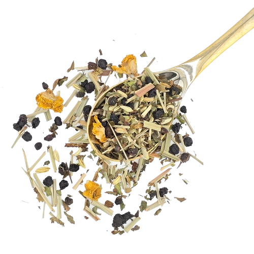 Kräutertee mit Minze und Holunderbeeren