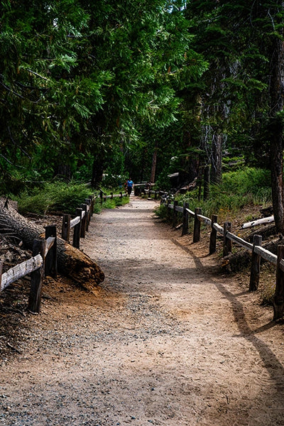 Natur und Grün, umgeben von Waldstille und frischer Luft